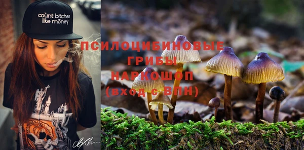 Альфа ПВП Аша