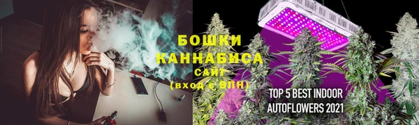 Альфа ПВП Ахтубинск