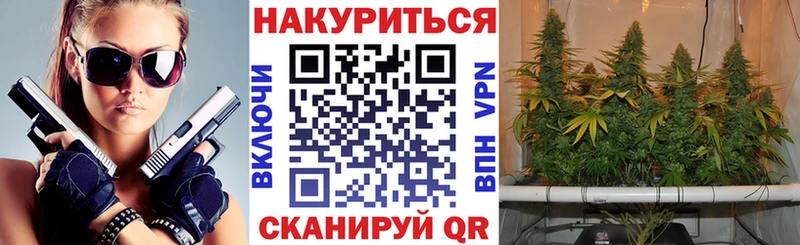как найти   Каргополь  Каннабис AK-47 